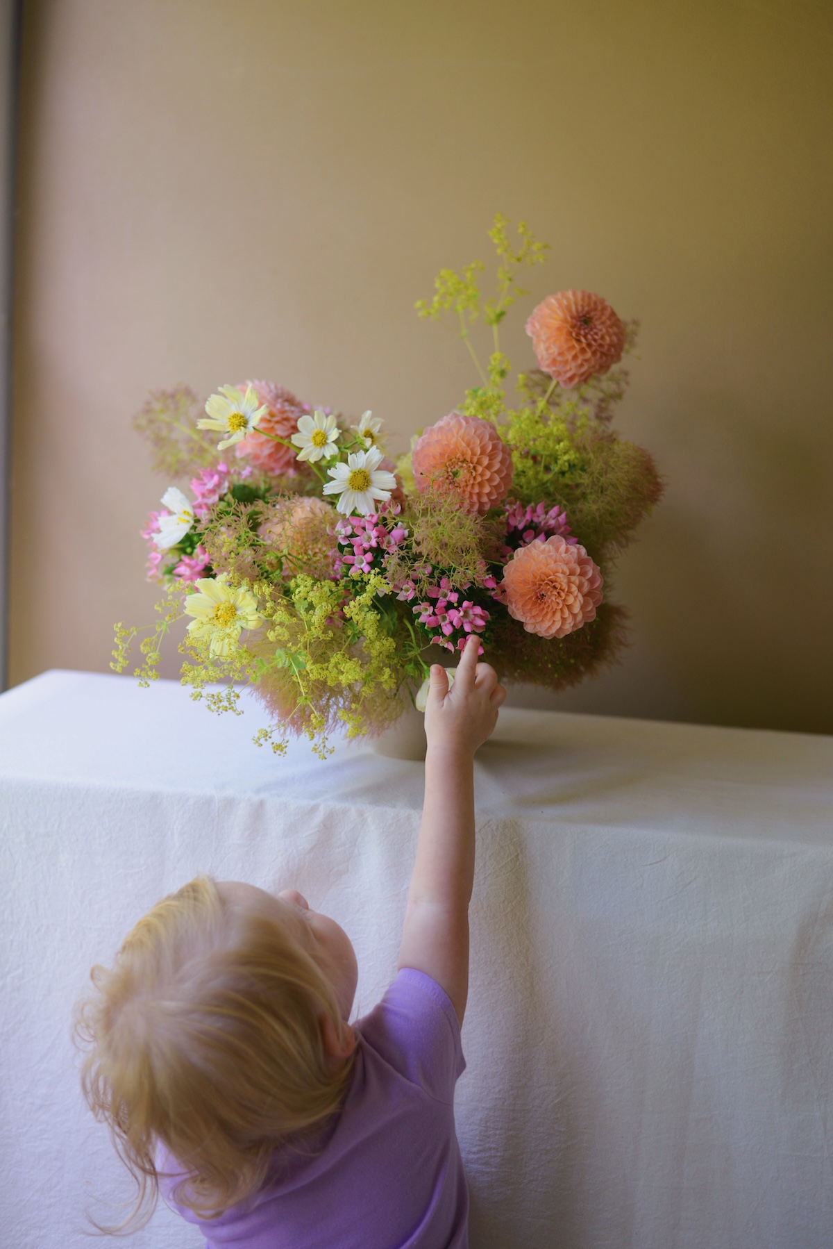 The Designer's Muse: Smokebush, Anthurium and a Study in Contrast